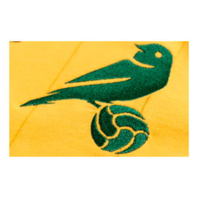 Adult Brazil Jersey Brazil #20