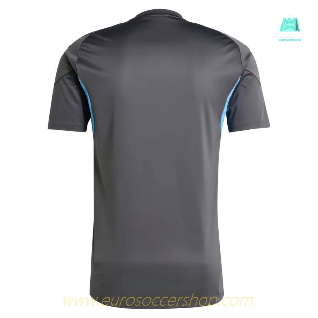 2025-2026 Newcastle Training Shirt (Grey)