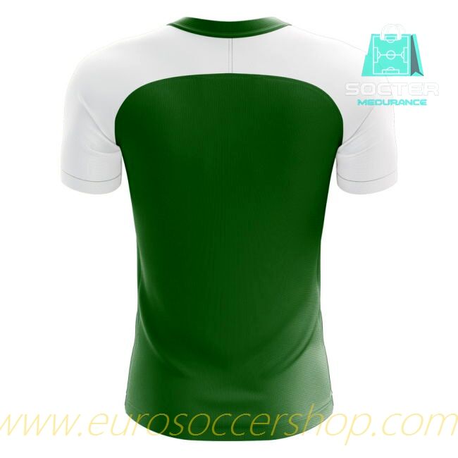 2025-26 Edition Nigeria Player Version Home Jersey Concept