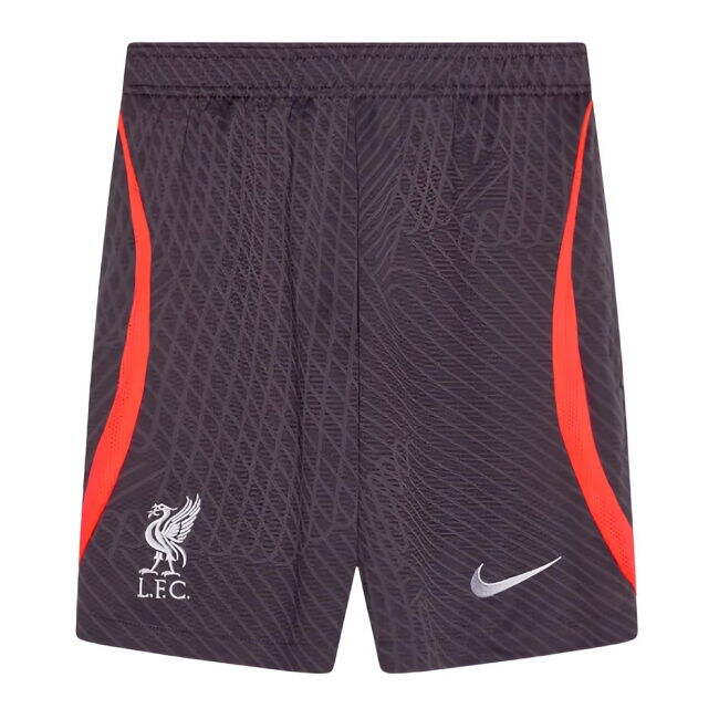 2023-2024 Liverpool Authentic Jersey Reasonable Price High-Qualit#730