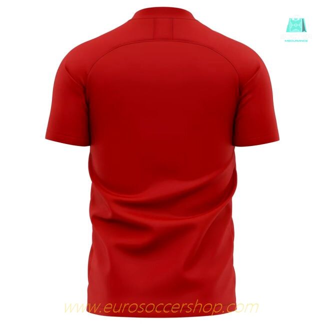 2025-2026 Southampton Home Concept Football Shirt (Your Name)