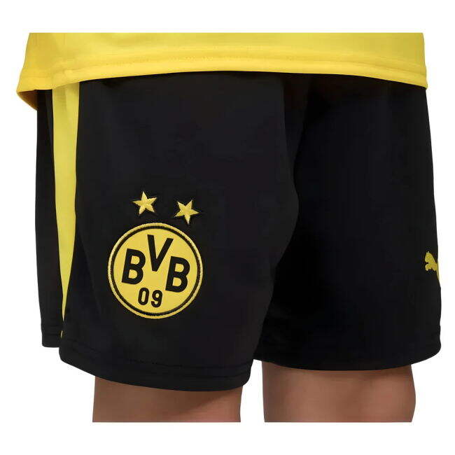 2025-2026 Borussia Dortmund (dortmund) Home - Var5-3