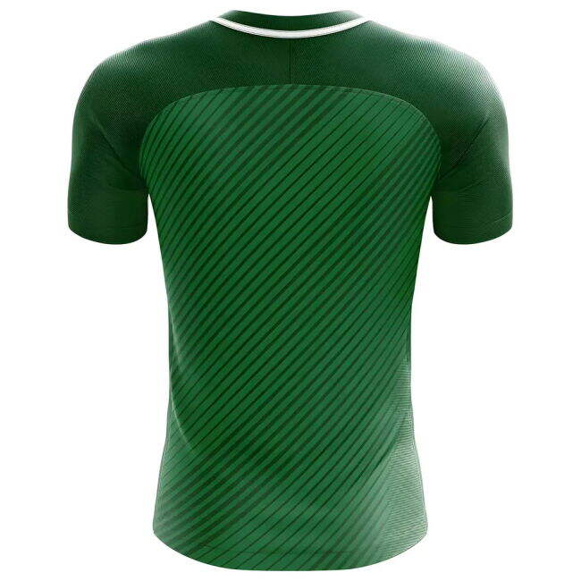 Team 2018-2019 Werder Bremen Fans Culture Home Concept Shirt - Womens