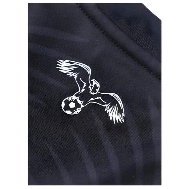 2024-2025 Third Shirt by Jordan