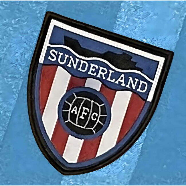 Die-hard Pro Series Sunderland New Release Supporter Shirt