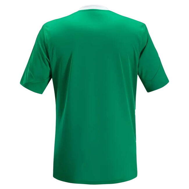 Saint Etienne 2013-14 official style Shirt