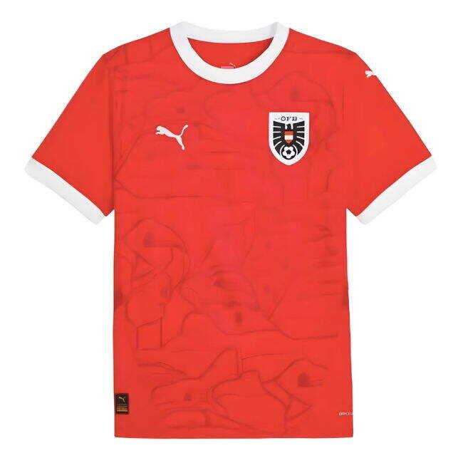 Affordable 2024-2025 Austria Home Shirt Unique