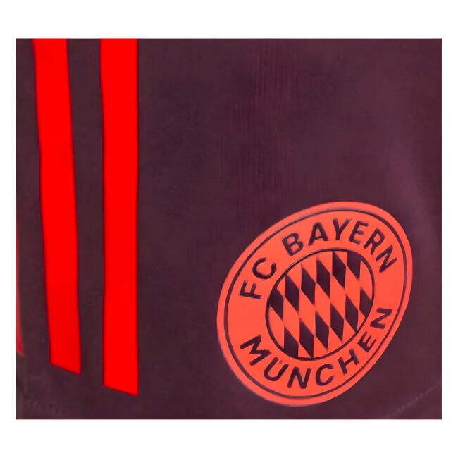 Bayern Munich Elite Jersey 2024-2025