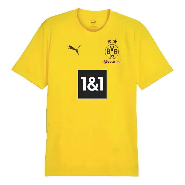 Borussia Dortmund Training official style Shirt 2024-2025 (Unisex