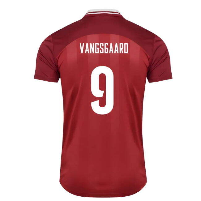 Denmark Pro Home Pro Shirt 2025-2026