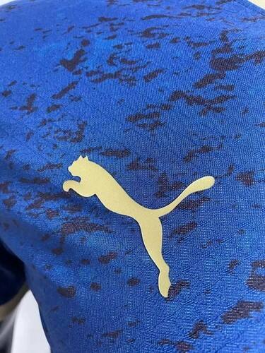 Manchester City Camiseta - Premium Quality - World Cup - Copa America