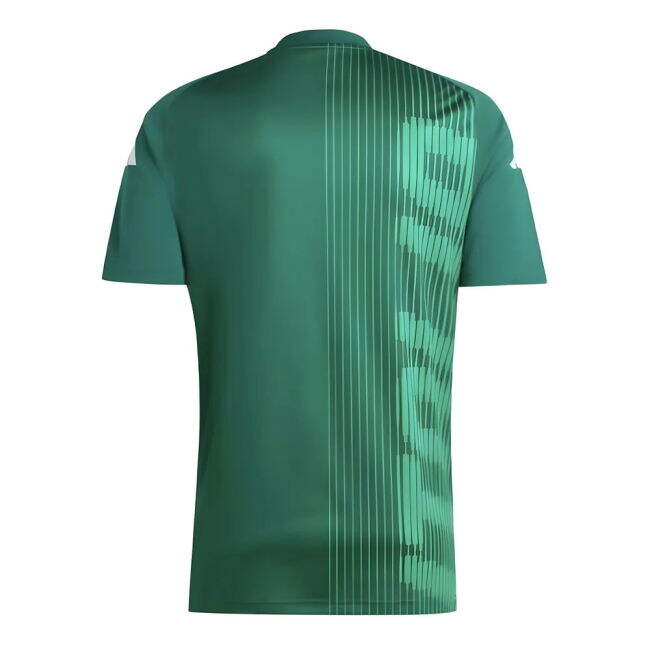 Italy 2024-2025 Jersey - Adult