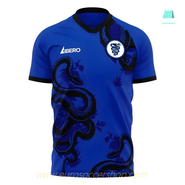 Inter 2025-2026 Training Concept Football Kit (Libero)