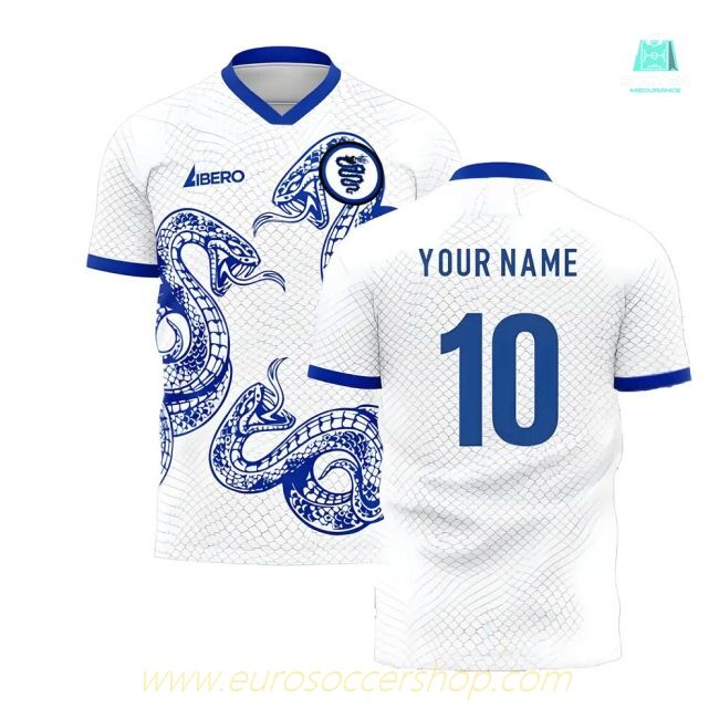 Inter 2025-2026 Away Concept Football Kit (Libero) (Your Name)