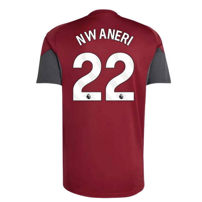2025-2026 Arsenal EU Training Jersey (Burgundy) (Nwaneri 22)