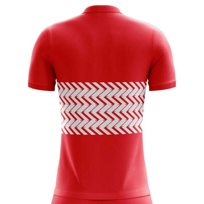 Austria official style Home Shirt 2025-2026 (Unisex