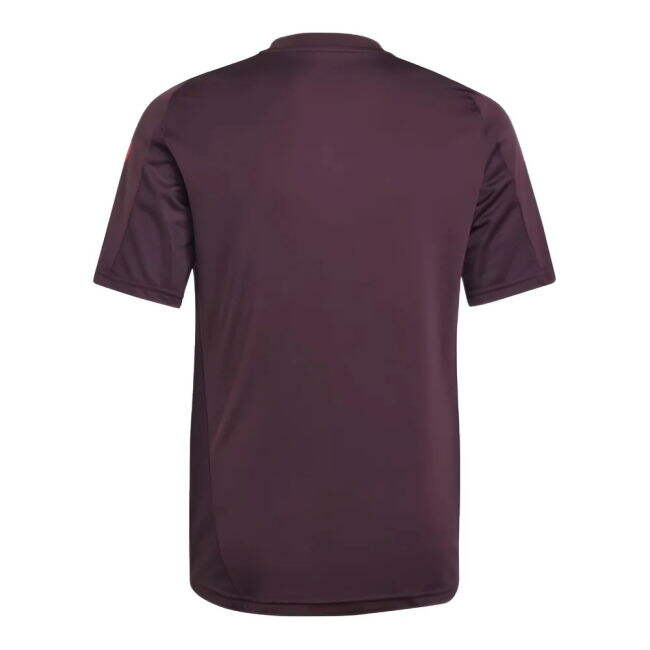 2024-2025 Bayern Munich Training Tee (Shadow Maroon) - Kids