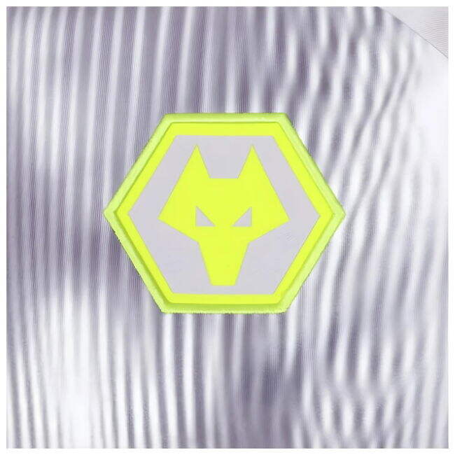 2024-2025 Wolves Players Training Shirt (Grey)