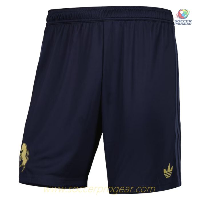 Juventus Third Children's Editionren's Jersey Set Soccer Football Shirt 2024-25 Edition Chiesa