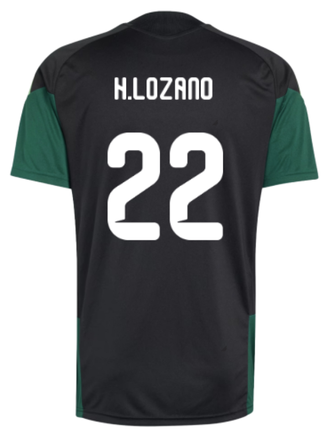 Euro Championship Offer 2026-2027 Mexico Training Jersey (Black) (H...