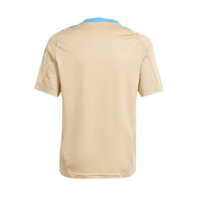 Elite Style Argentina Pro Appearance Home Pro Shirt (1)