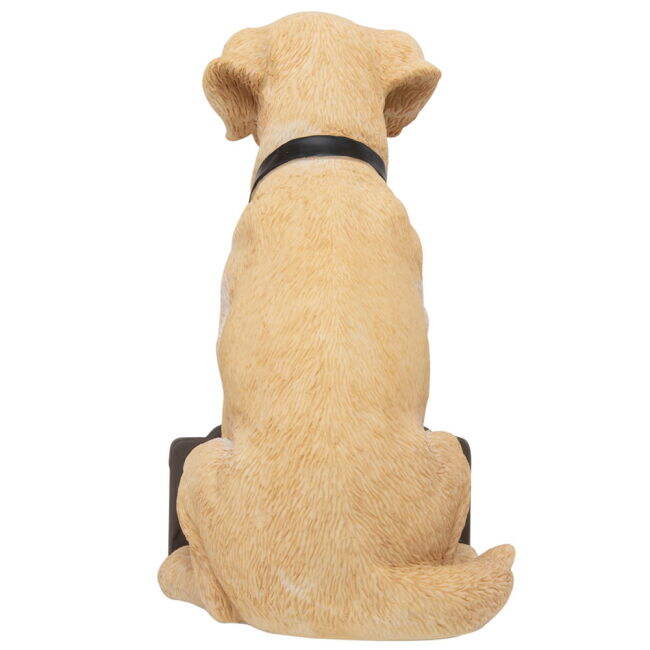 Newcastle Verified Newcastle United FC Labrador Gnome Comfortable Wear