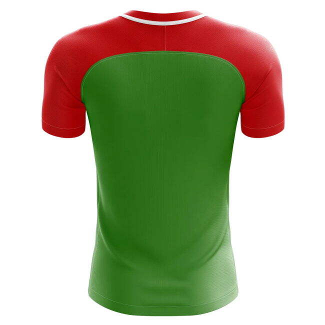 2025-2026 Chechnya Home Concept Football Shirt
