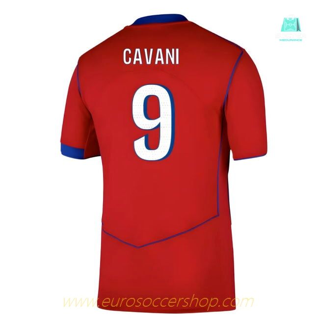 2025-2026 PSG Third Shirt (Cavani 9)