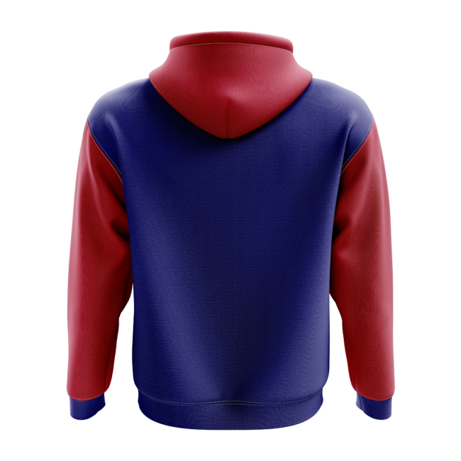 New Haiti Concept Football Shirt 2025-2026