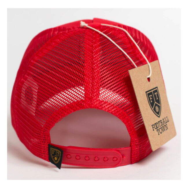 Albania Modern Jersey Albania #80