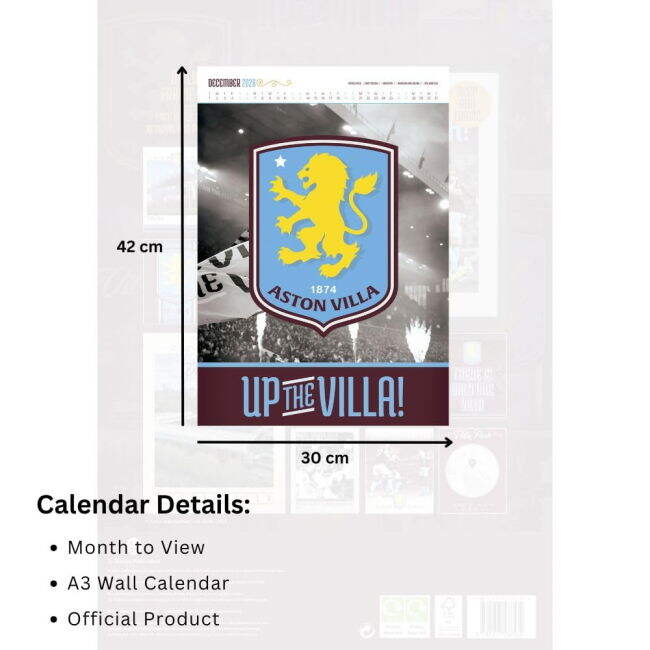 Aston Villa Team Traditional Home Game Jersey
