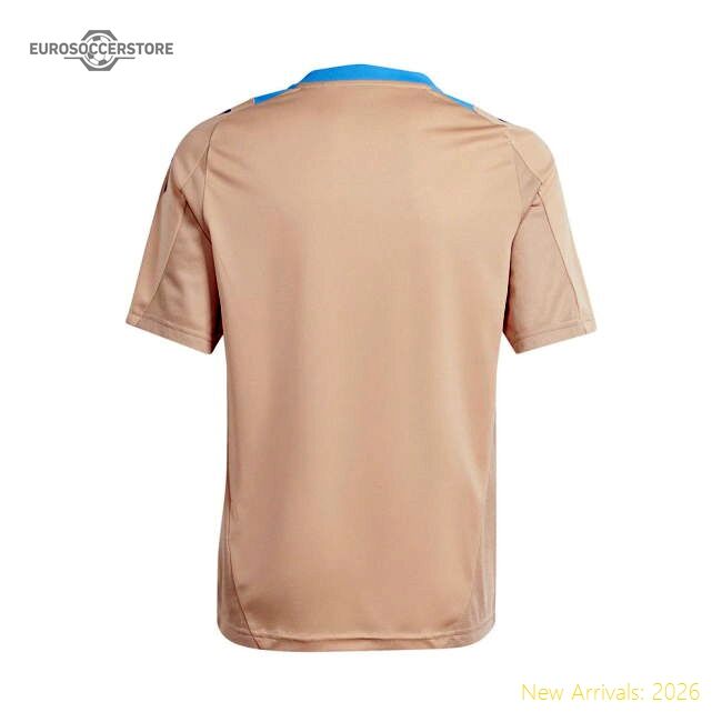 2024-2025 South American Giants Training Jersey (hazy Beige)