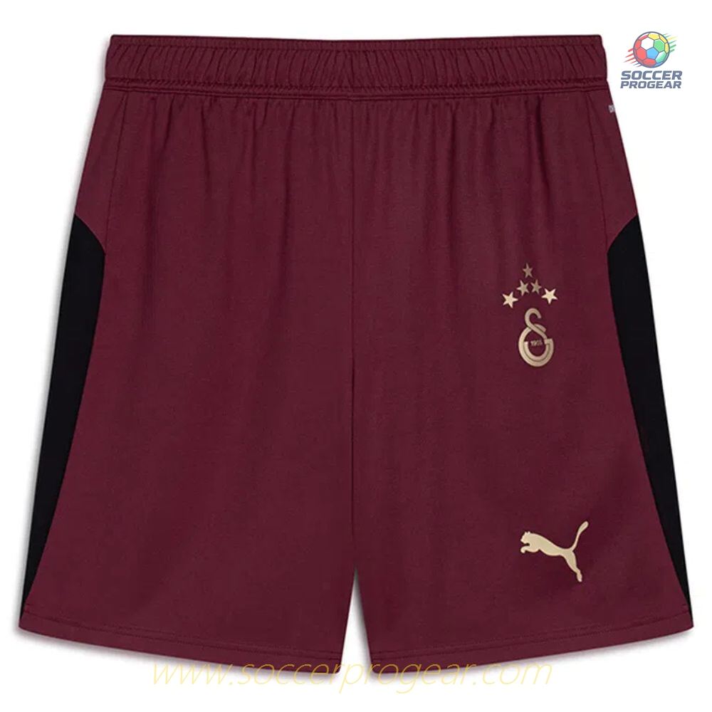 Galatasaray Third Youth'sren's Football Kit Soccer Jersey 2025-26 Edition