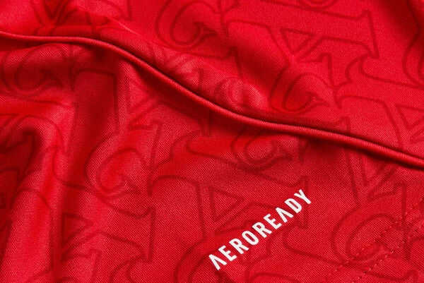 Player Version Arsenal Home Soccer Jersey 2025/26 -Slim FitAuthentic K