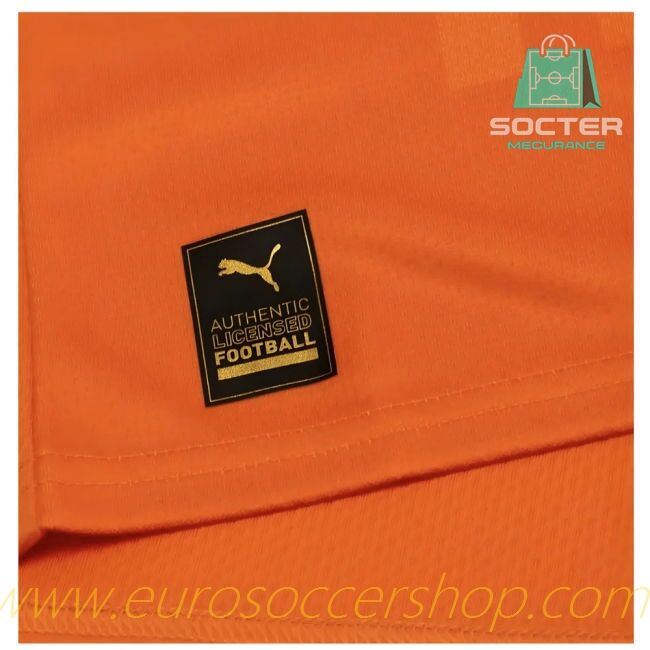 Replica Ivory Coast Home Shirt