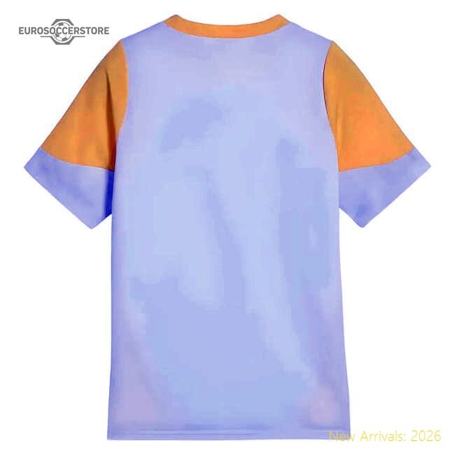 Top-Quality 2025-2026 Borussia Dortmund Training Jersey (Silver Mist) -