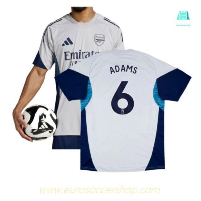 2025-2026 Arsenal Training Shirt (Grey Two) (Adams 6)