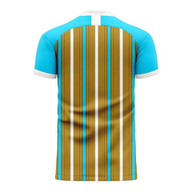 Somalia 2025-2026 Home Concept Football Kit (Libero) - Womens