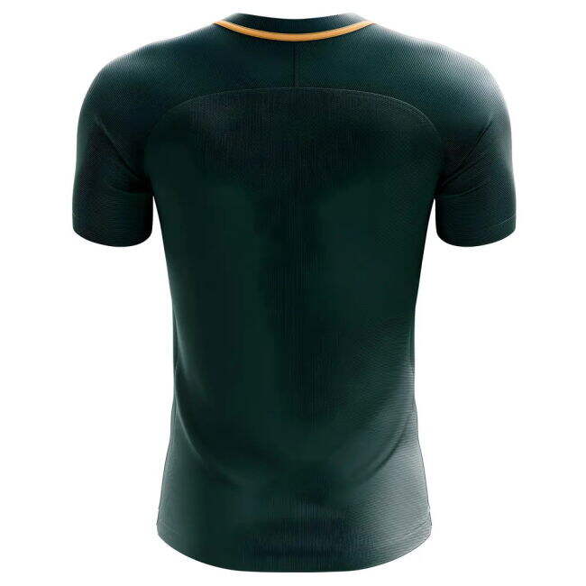 Nigeria Performance Third Jersey 2025-2026