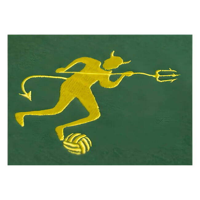 Stretchable Player Issue - Comfortable Iconic Green Adults #89660