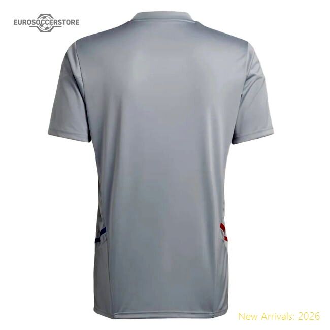 Genuine 2022-2023 Olympique Lyon Training Jersey (Halo Silver)