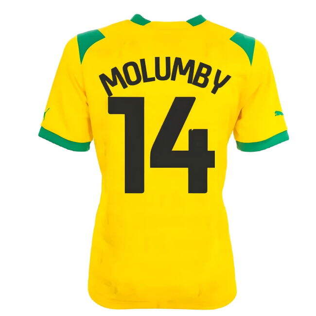 Premium Classic 2022-2023 WBA Away Soccer Jersey - MOLUMBY 14 Adu#130