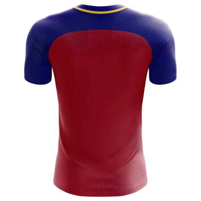 And Value For Money 2025-2026 Liechtenstein Home Concept Football Shirt - Womens Unique