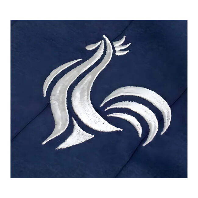 France Special Edition Home Jersey France #99