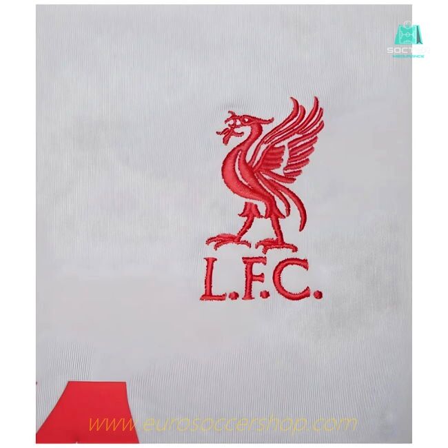 2024-2025 Liverpool Strike Drill Top (Light Grey)