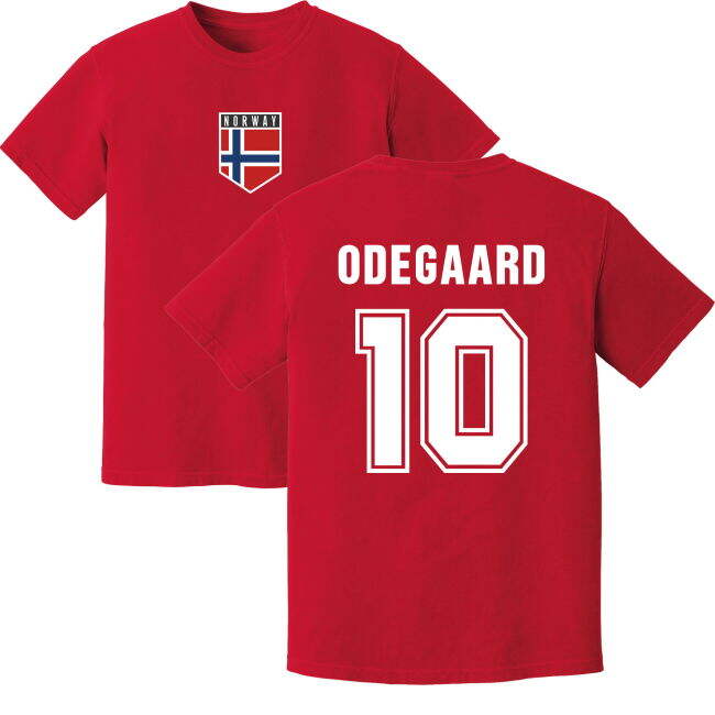 Professional Style Norway Pro Appearance Home Professional Jersey