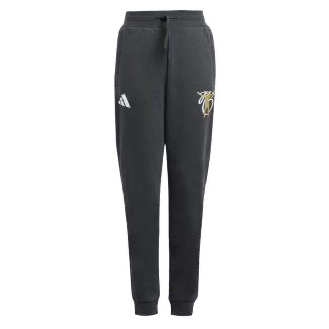 2024-2025 Jude Bellingham Tracksuit Bottoms (Grey) - Kids