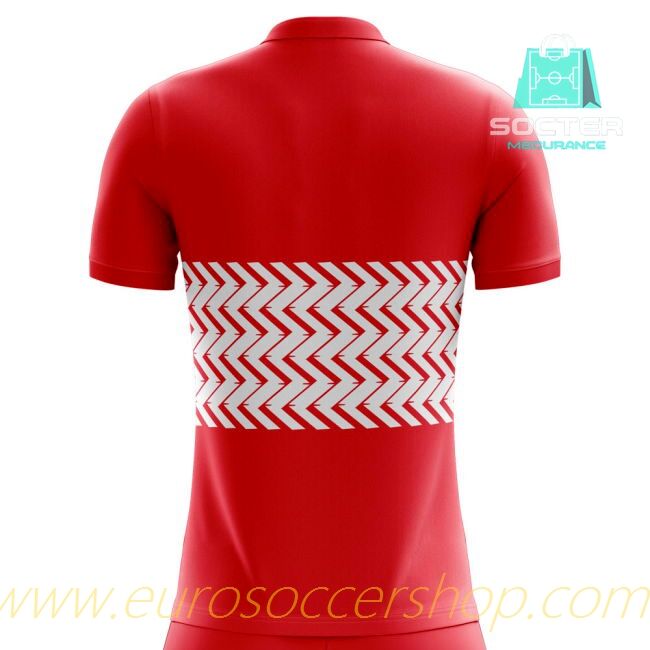 Authentic 2025/26 Campaign Austria Home Football Shirt Libero