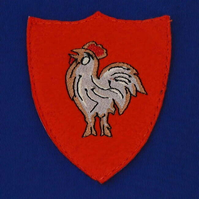 Professional France 2025-2026 Home Strip