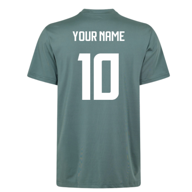 Ireland Pro Jersey 2025-2025